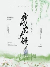 南风有尔小说《我的黑大佬是白莲花》最新章节结界（完）在线阅读